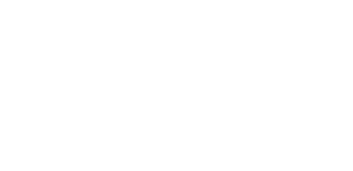 Logo in White: Generac Authorized Dealer